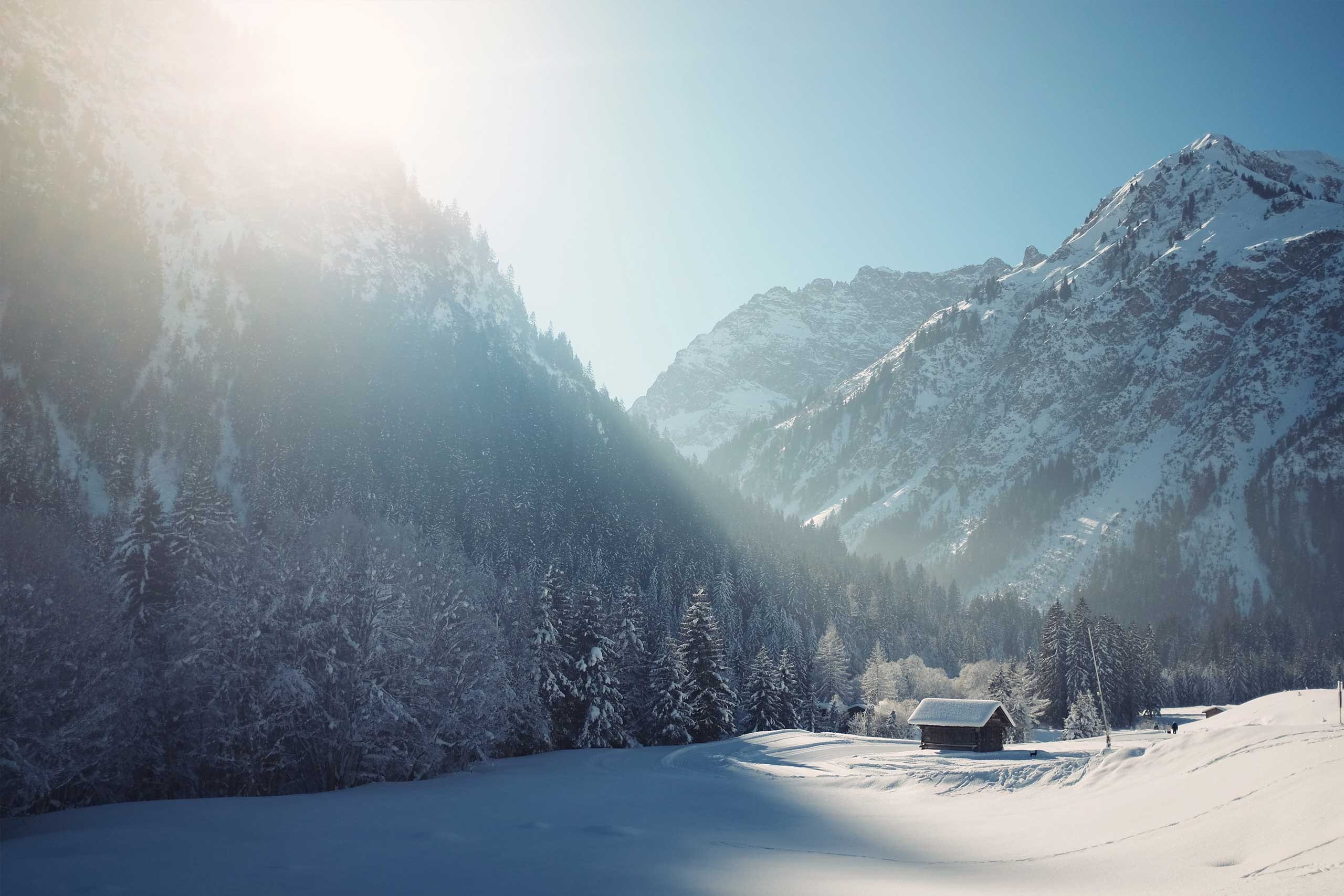 Österreichischer Alpenverein