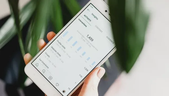 Eine Person nutzt Online-Marketing, um auf ihrem Smartphone für eine Pflanze zu werben.